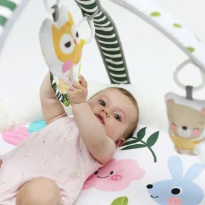Gimnasio para bebés pink