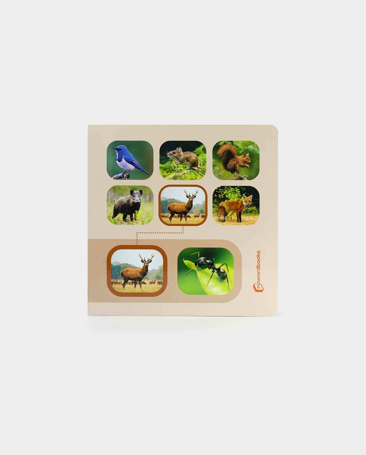 Libro Busca y Encuentra Animales del Bosque Nowordbooks