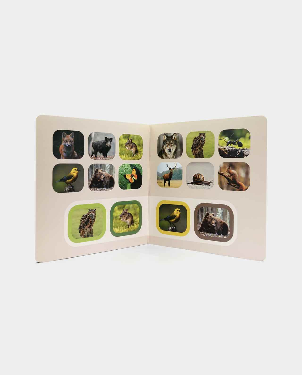 Libro Busca y Encuentra Animales del Bosque Nowordbooks - Imagen 2
