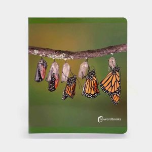 Libro Los Ciclos de la Vida Nowordbooks